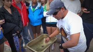 —мотреть онлайн Фокус про воду на экваторе