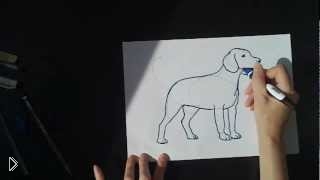 —мотреть онлайн Как поэтапно нарисовать собаку