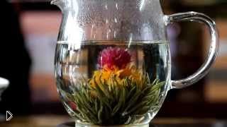 —мотреть онлайн Красивый чай: цветок раскрывается в чайнике с кипятком