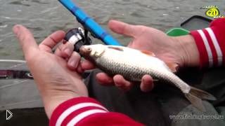 —мотреть онлайн Оснастка и ловля рыбы болонской удочкой на течении