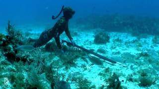 —мотреть онлайн Захватывающая подводная охота с арбалетом