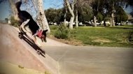 —мотреть онлайн Подборка: Собаки катаются на скейтборде